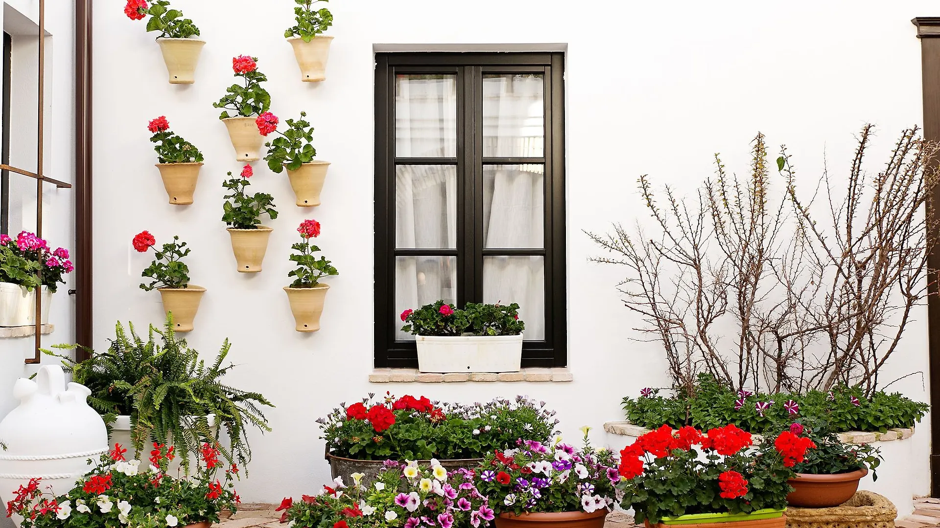 Suites La Posada De Pilar Cordoba